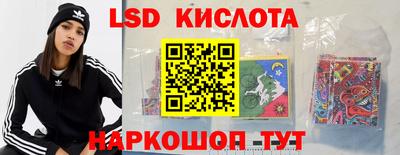 ешки Гатчина
