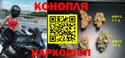 ешки Гатчина