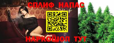 ешки Гатчина