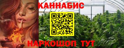 ешки Гатчина