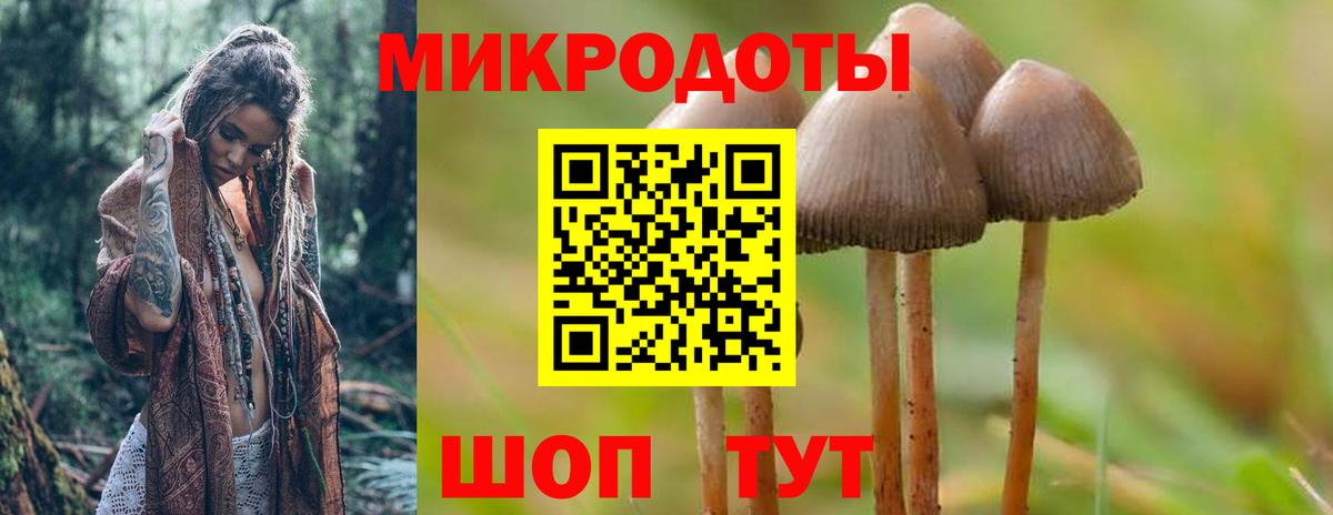 Псилоцибиновые грибы Psilocybe  Вход с VPN  Новоалександровск 